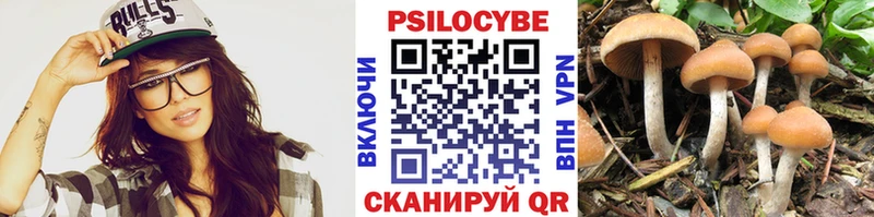 наркота  Жуковка  Псилоцибиновые грибы Psilocybine cubensis 